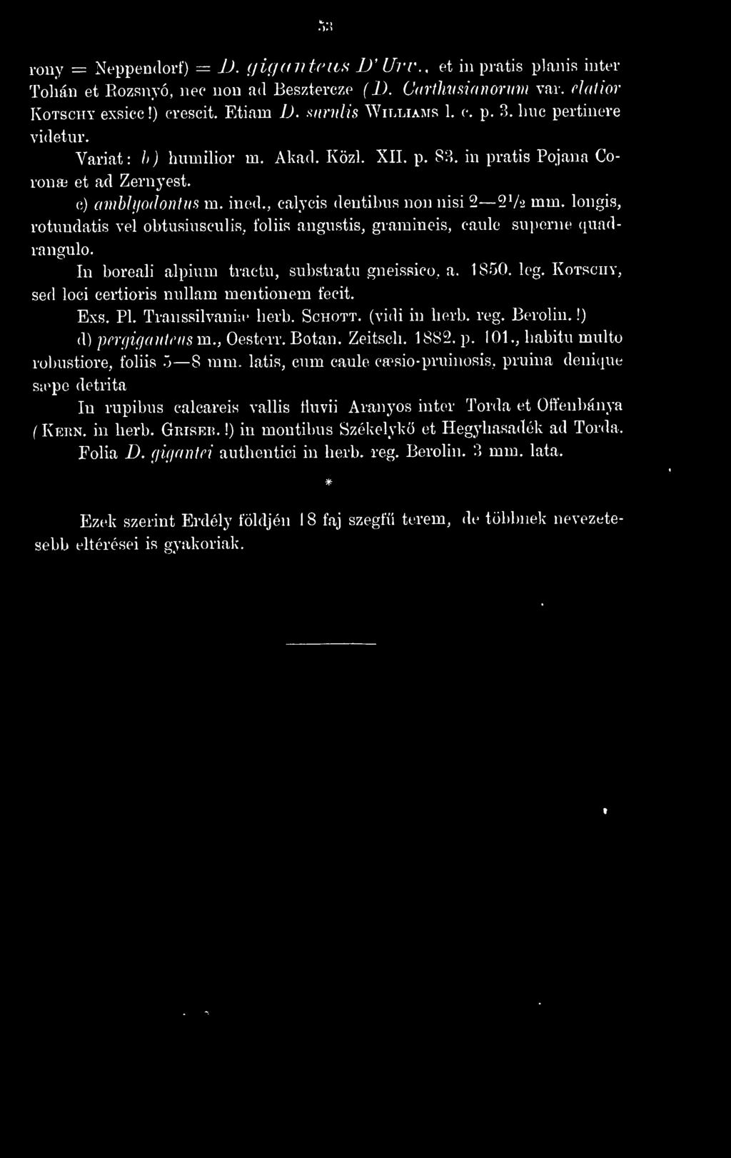 101., habitu multo robustiore, foliis ') 8 mm.