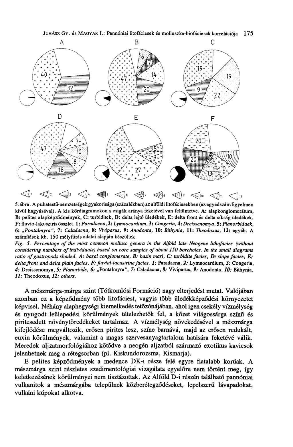 JUHÁSZ GY. és MAGYAR I.: Pannóniai litofáciesek és molluszka-biofáciesek korrelációja 175 A B C D E F 5.ábra.