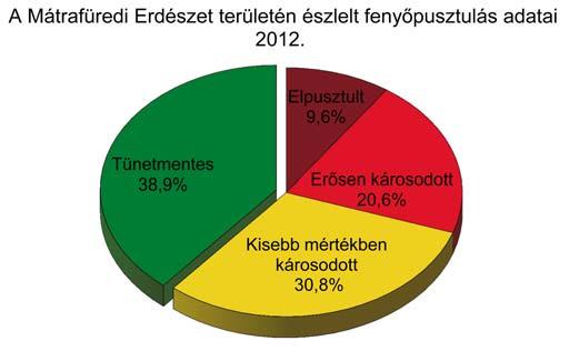 SZAKMAI FÓKUSZ ERDÕVÉDELEM Tömeges fenyõpusztulás a Mátrafüredi Erdészet területén Dr. Koltay András 1, Janik Gergely 1, 2012 kora tavaszán az EGERERDÕ Zrt.