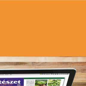 Nyomtatott lapár (Ft) Digitális lapár (Ft) Egy lapszám ára