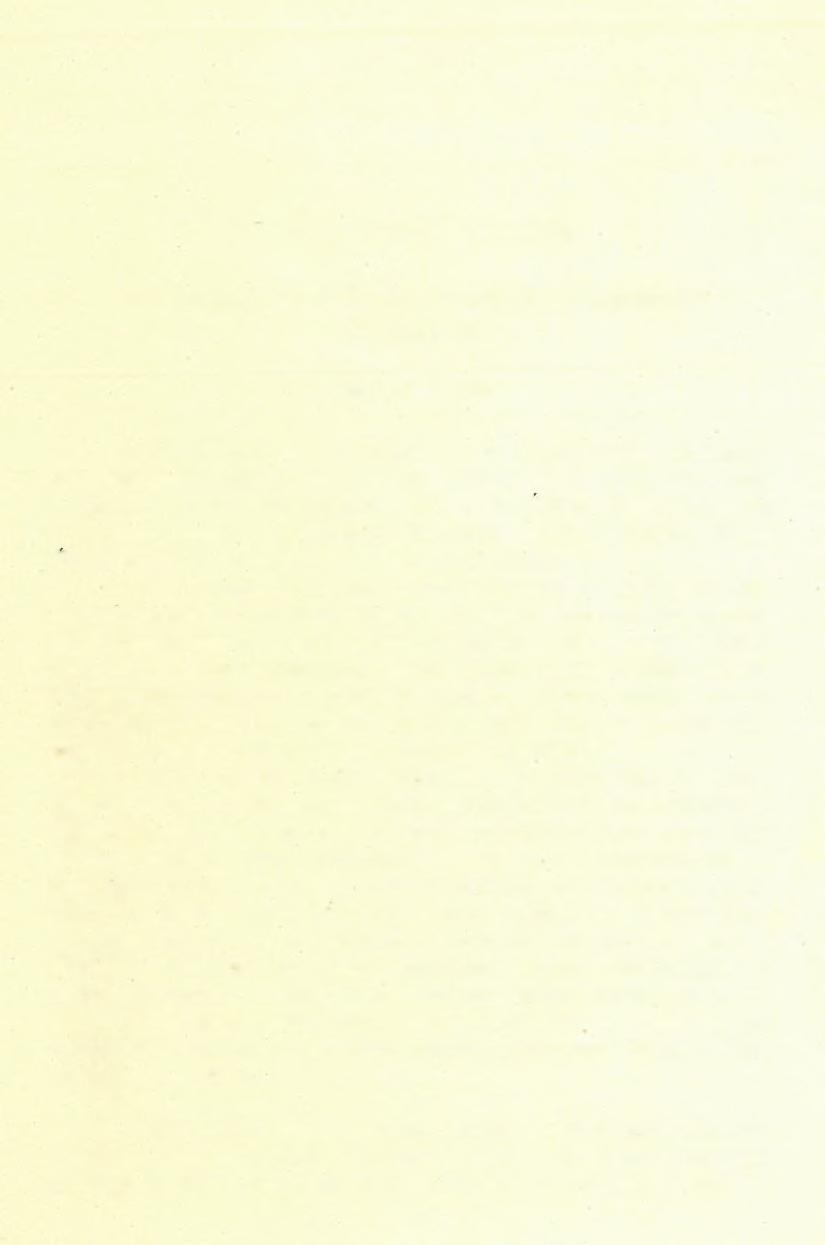C) A g r o g e o lo g ia i fe lv é te le k. 14, Jelentés az 1905. évben végzett agrogeologiai felvételekről. TbEITZ PÉTERtŐl. Eöldmívelésügyi m. kir.
