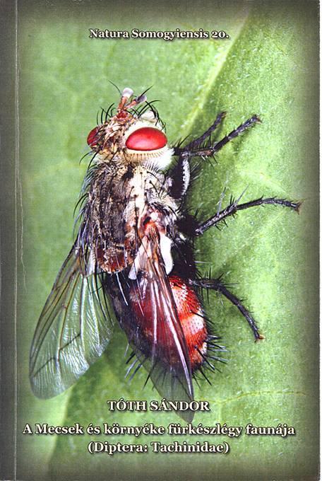 Hirdetés Egzotikus bogarak Eladó kb. 1100 egzotikus bogár a világ minden részéből!