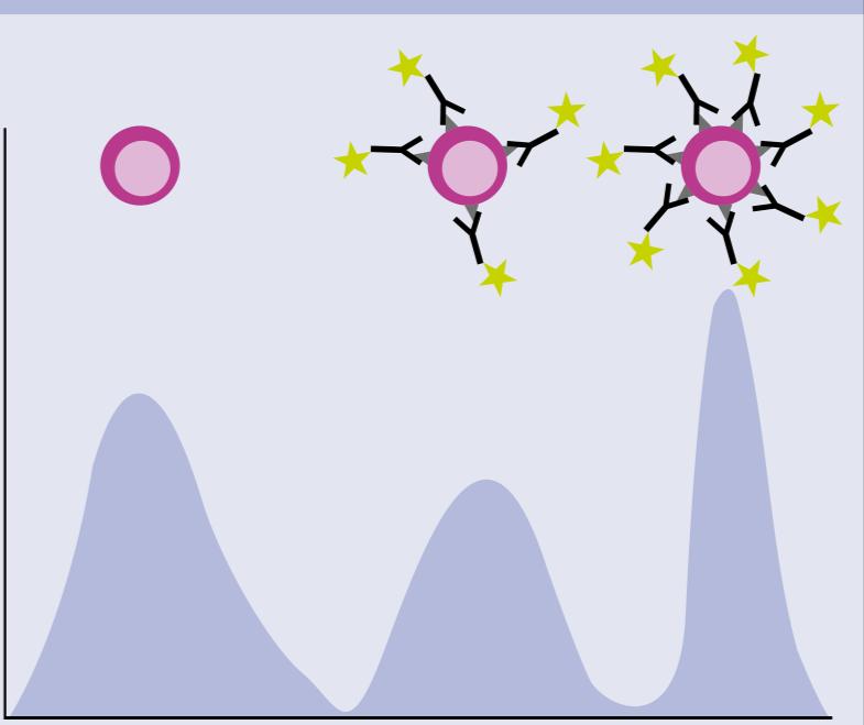 Sejtszám Az adatok ábrázolása fluoreszcencia jelöletlen sejtek (autofluoreszcencia) Relatív fluoreszcenciaintenzitás jelölt