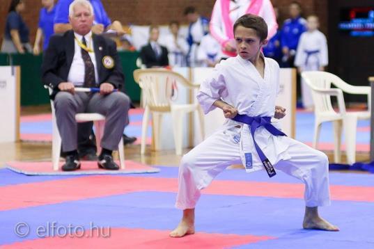 Versenyszabályok: WKF szabályrendszer az alábbi eltérésekkel: UTÁNPÓTLÁS KATEGÓRIÁBAN CSAK MAGYAR KLUBBOK INDULHATNAK! Kata: - Egyenes kieséssel, vigaszággal, két harmadik helyezettel.