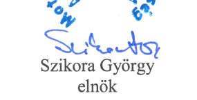 Az egyesület törlésének időpontjában tagi viszonyban lévő tagok, vagy azok akiknek a vagyont át kellet volna adni a törlés jogerőre emelkedésétől számított egy éven belül a vezető tisztségviselőkkel