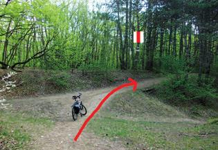 A lombhullató erdő találkozik egy kis fenyvessel; következik egy útkereszteződés, a piros ponttal jelölt úttal. Itt balra térünk, továbbra is a piros sávot követve.