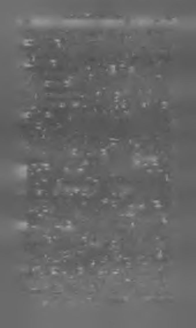 m a g y a r k ö n y v j e g y z é k 1 8 9 0. 2 5. népiskolai tanításhoz módszeres feldolgozásban. A tiszántúli ev. ref. egyházkerület tanterve szerint. Jutalmazott pályamű. (8-r. 172 lap.