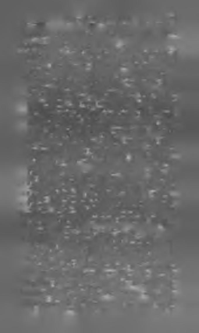 M A G YA R K Ö N Y V JE G YZÉK 1 8 9 O. 69 Péterffy. Olvasókönyv alsófoku ipariskolák számára. L d.: Emericzy Géza. Péterffy Sándor. Olvasókönyv. Ld. : Kiss Áron. Magyar a b c és képes olvasókönyv.