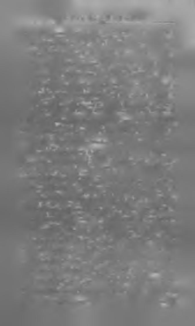 W fíu r ív.'.'^ íí.v ii" ' : ' *r > :: "5 'í r r w n r M A G Y A R H ÍR L A P O K ES F0 L Y 07R Á T O K 1801. E g e r : E g e r. Szerk. Szaldó Ignácz kiadó-tulajd. az egri érseki lyceumi nyomda.