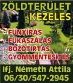 Tel: Pápán, a város központjához, pár száz méterre található társasház első emeletén eladó egy 42 m2-es 1 szobás, felújított lakás. Irányár: 11,9 M Ft.
