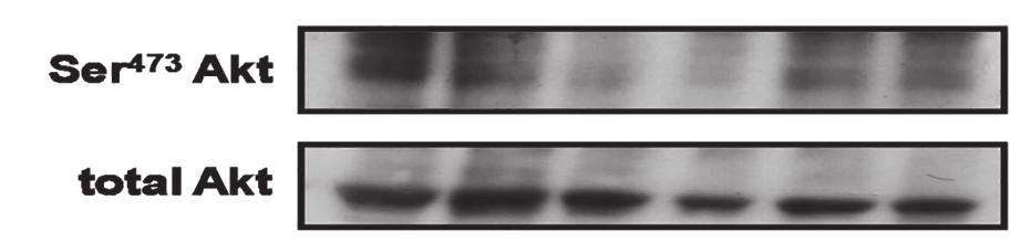 PLoS ONE 13(1): e0189707; 2. Dunlop et al. J. Mol. Biol.