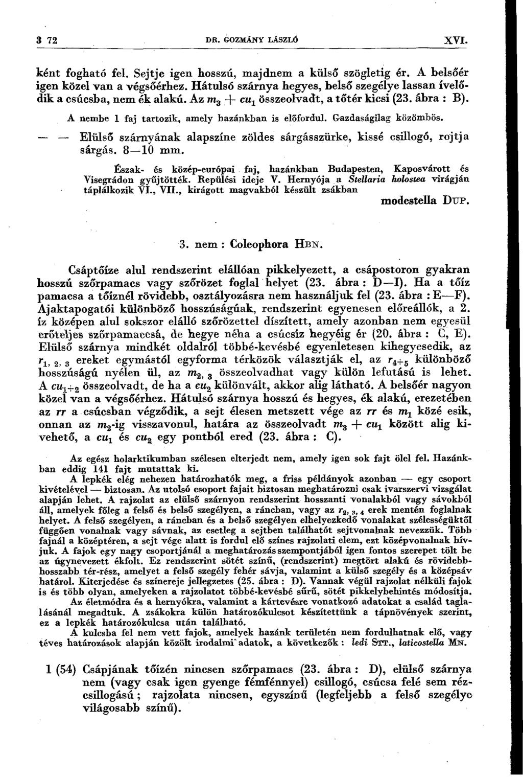 3 72 DR. GOZMÁNY LÁSZLÓ XVI. ként fogható fel. Sejtje igen hosszú, majdnem a külső szögletig ér. A belsőér igen közel van a végsőérhez.