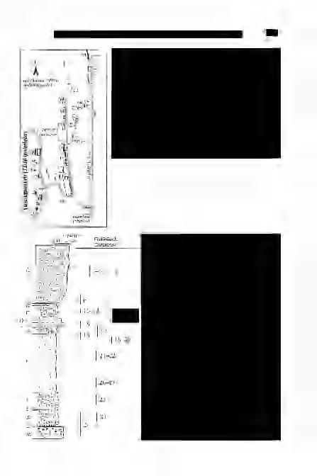 LUKÁCS R. et al.: A Bükkalján megjelenő felső riolittufaszint vizsgálati eredményei 497 4. ábra.