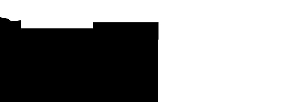 (9) Please click on the floppy disc with a green arrow on the menu bar in the upper left corner and click on igen to save the filled form.