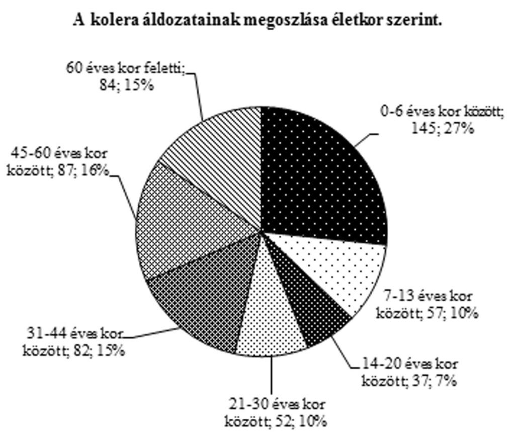 hunyt el a családból, de volt olyan eset, hogy szinte minden családtag belehalt a járványba. 24 Sok család veszítette el több kicsi gyermekét a járvány során.