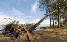 THE SEA French Climate Plan
