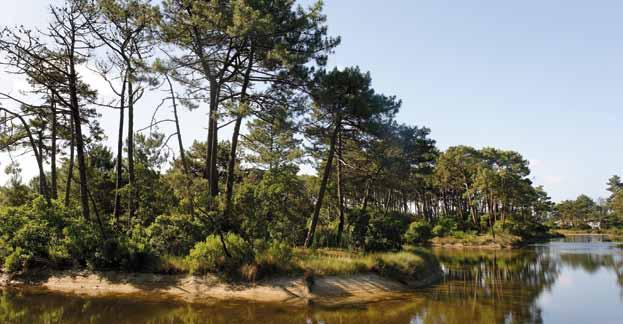 14 Climate Plan Agriculture and Forest Greenhouse gas emissions in the agriculture sector reached 106 million tco 2 e in 2007, or 19.8% of France's total emissions.