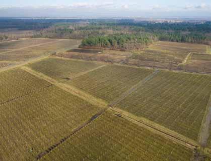Climate Plan 15 According to Environment Round Table research, this plan would reduce energy consumption in the agriculture sector and greenhouse gas emissions by 10% over the period 2008-2013 (or 1