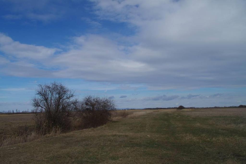 A Pusztafogacs