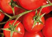 /kg -29% 699 TV paprika 495 Legkisebb átmérő: minimum 47 mm ** MAGYAR TERMÉK  1 2 3 4 5