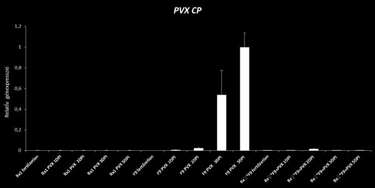 Az inokulált levelekben a PVX felhalmozódását (PVX CP relatív génexpresszió)