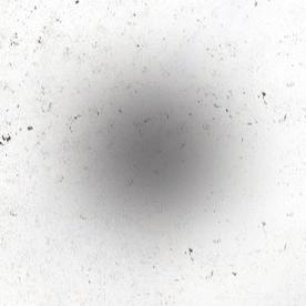 NT-80486   NT-81575  