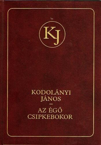 Kodolányi János Az égő csipkebokor Az égő csipkebokor (1953) az utolsó olyan, balatonakarattyai korszakában készült nagyregénye Kodolányi Jánosnak, amelyikben bibliai témát dolgoz fel, és szinte