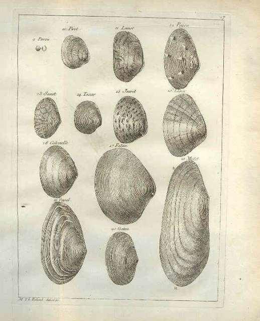 Familles des plantes 1763, szubjektív alapon, 58 család szerepelt benne.