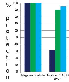 Védettség, % BAROMFIPESTIS ELLENI VÉDELEM NDV, GENOTÍPUS VII A ráfertőzést követő 15.