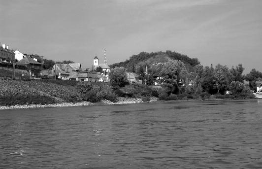 Amióta azonban a Nemzeti Biodiverzitás-monitorozó Rendszer, a Natura 2000 és más programok keretében alaposabban vizsgáljuk vizeinket, gyakrabban kerülnek elô a faj egyedei.