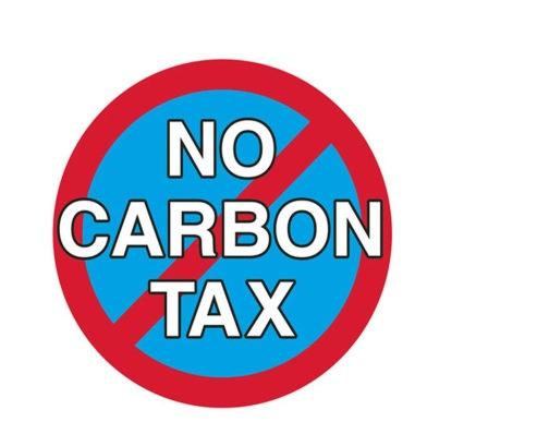 szén-dioxid adók eltörlése, ennek érdekében pedig a parlamentbe kerülés