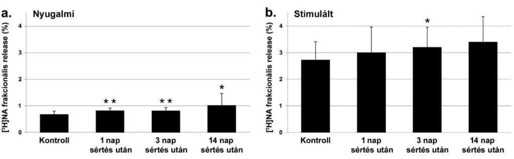 5.1.4. Gerincvelői sértés hatása a [ 3 H]noradrenalin felszabadulásra A gerincvelő művi sértése után mind a nyugalmi, mind a stimulált [ 3 H]NA felszabadulás fokozatos emelkedést mutatott (12. ábra).