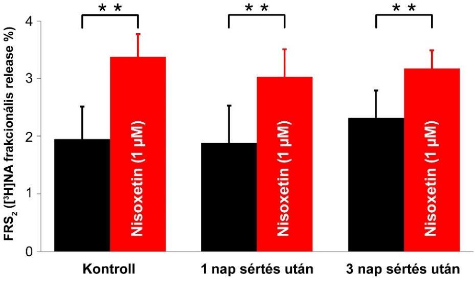 14. ábra. FRS2 változása gerincvelői hemisectio és 1 µm nisoxetin hatására. A 8.