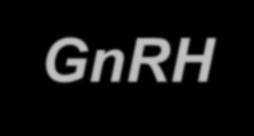 Daunorubicin-GnRH-III biokonjugátumok rövidszénláncú zsírsavakkal Glp-His-Trp-Lys(X)-His-Asp-Trp-Lys(Dau=Aoa)-Pro-Gly-H 2 Enzim stabilitás kimotripszin; 6 óra Citosztázis (IC 50 ) MCF-7 HT-29 acetil