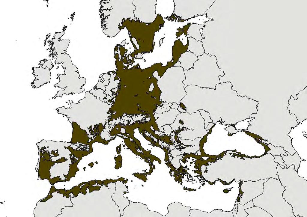 években, továbbra is csökkenő északi populációk, növekedés délen Klímaváltozásra érzékeny (Huntley et al., 2007) Célkitűzések: 1. A jelenlegi, 2.
