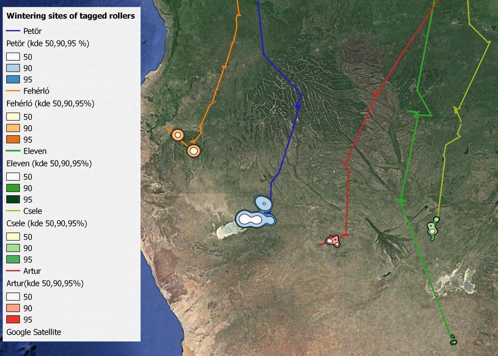 Loop migration in adult European rollers (Coracias garrulus) through the Middle East Orsolya Kiss1,2 & Béla Tokody1 1. BirdLife Hungary, 21. Költő str., Budapest, H-1121 email: orsolyakiss22@gmail.
