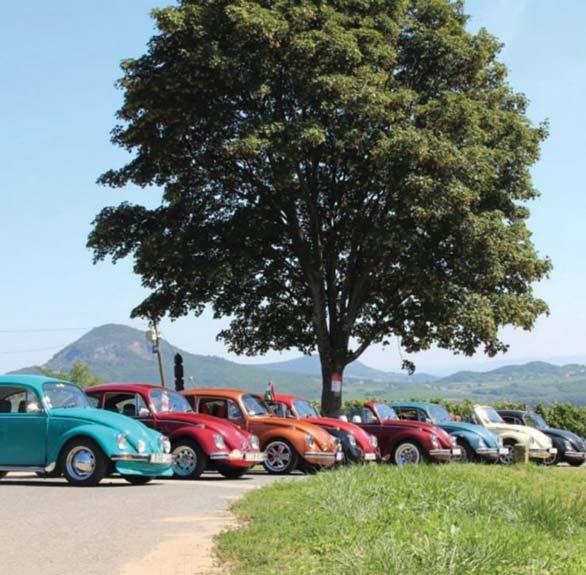 BALATON // PROGRAMOK 46 47 Programok Alsóörs L Pelso Camping (Camping u. 19.) 22 25. Zorall Sörolimpia.