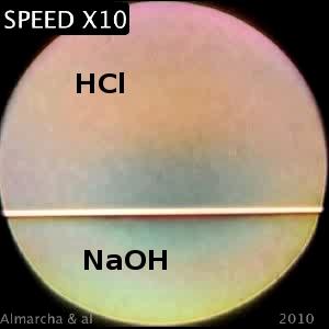 Komplex (nemlineáris) rendszerek,,egyszerű kémiai reakció által létrehozott hidrodinamikai áramlás NaOH + HCl = NaCl ρ(naoh)> ρ(hcl) C. Almarcha, P.M.J.