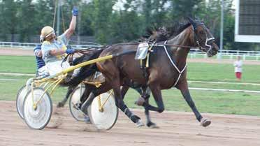 10 Livi Kickoff 1900 m Horváth Zoltán (18,0-1) (Sötétkék, fehér vállon kék csillagok) 6 stpk Sand Vic - Patricia Pretty L. / Super Arnie Horváth Zoltán Istálló: Gomez i. 16.7-2082050 Ft Élet stat.