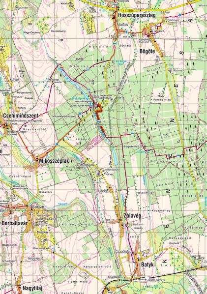 6. nap SZAJKI-ERDŐ Útvonal: Szajki-tavak, Szajki-erdő Napi útvonalhossz: 4 km Napi szintemelkedés/lejtés: 20/20 m Délelőtt horgászati