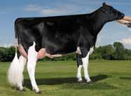 ROBLE LONE-OAK-ACRES ALTAROBLE-ET GUL X OBSERVER X SHOTTLE HOUSAM000069829747 ROĐEN 2012 GLPI 3100 HB 2455 Lineáris tipus osztályozás 128 ćerki lányai 48 stada tenyészet 90