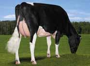 AVALON FARNEAR-TBR ALTAAVALON-ET MAC X SHOTTLE X ALTAFINLEY HOUSAM000065496393 ROĐEN 2008 GLPI 2480 V 1142 Lineáris tipus