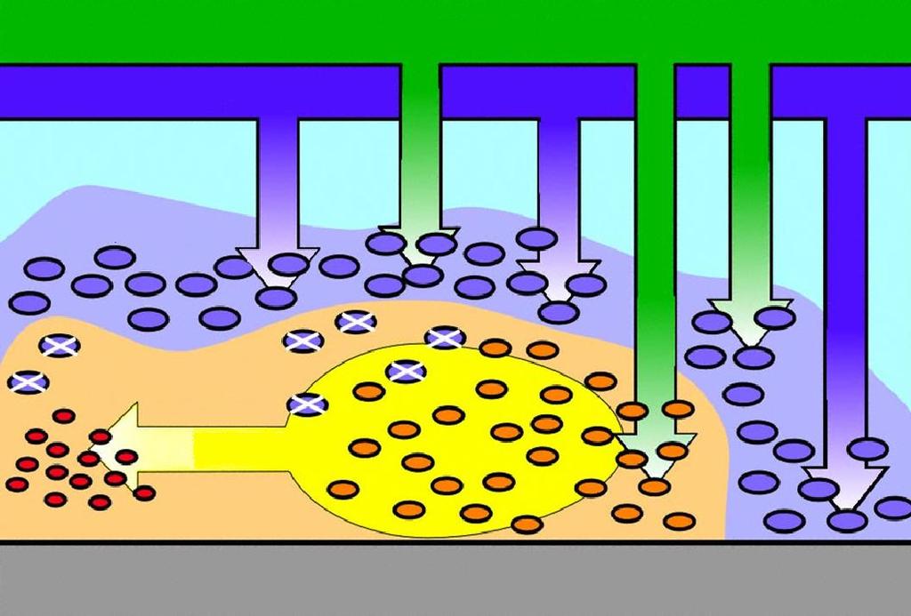 BACTÉRIUM REZISZTENCIA FIZIKO-KÉMIAI VS PLASMID REZISZTANCE Tápanyag Oxigén Aerob Anaerob 20