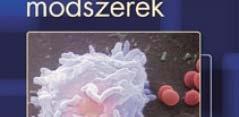 11 fejezet 11.