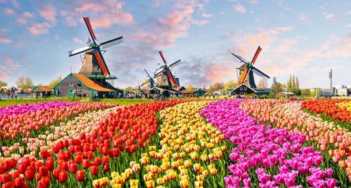 BELGIUM TULIPÁNVIRÁGZÁSKOR HOLLANDIÁBAN Benelux körutazás HOLLANDIA LUXEMBURG HANSA HÁZAK ÉS CSATORNÁK AMSTERDAMBAN NÉMETORSZÁG Brügge Keukenhof Hága Delft Gent Brüsszel Amsterdam Antwerpen