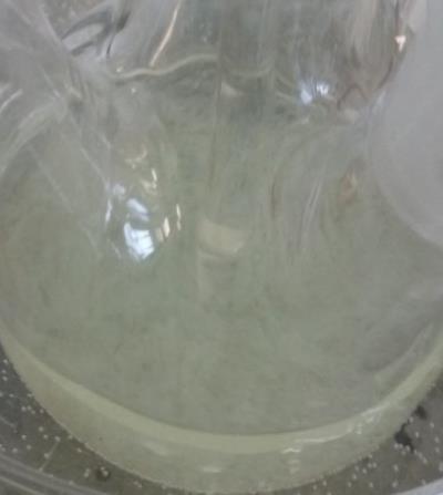 generally used which are inert to NCO groups (benzene, toluene, xylene, chlorobenzene, nitrobenzene, acetone, methylethylketone, acetic ester, dioxane, tetrahydrofuran, aliphatic hydrocarbons,