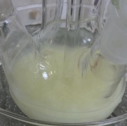 133 For the synthesis the following chemicals were used: pure 4,4 -MDI, ethylene-acetate, 4-N,N-dimethylamino-pyridine, benzoyl-chloride.