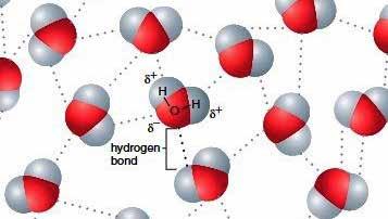 Mennyire biztonságos vizet injektálni egy GC készülékbe? fordította: Bálint Balázs Gen-Lab Kft. Forrás: Phenomenex Ltd., Is Water Safe To Inject In Gas Chromatography?