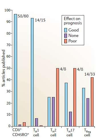 Különböző T-sejt alpopulációk infiltrációja és a tumor-prognózis kapcsolata 124 cikk