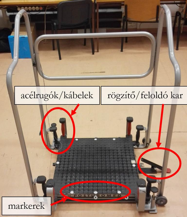 A fejmozgást leíró paraméter megbízhatóságának elemzéséhez a vizsgálatokat 4 alkalommal hajtottuk végre. Minden alkalommal az alanyok mozgását tízszer mértük minden testhelyzetben.